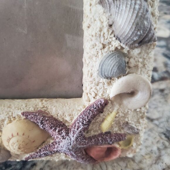 Colorful 3D Sea Shell Frame - Picture 2 of 7